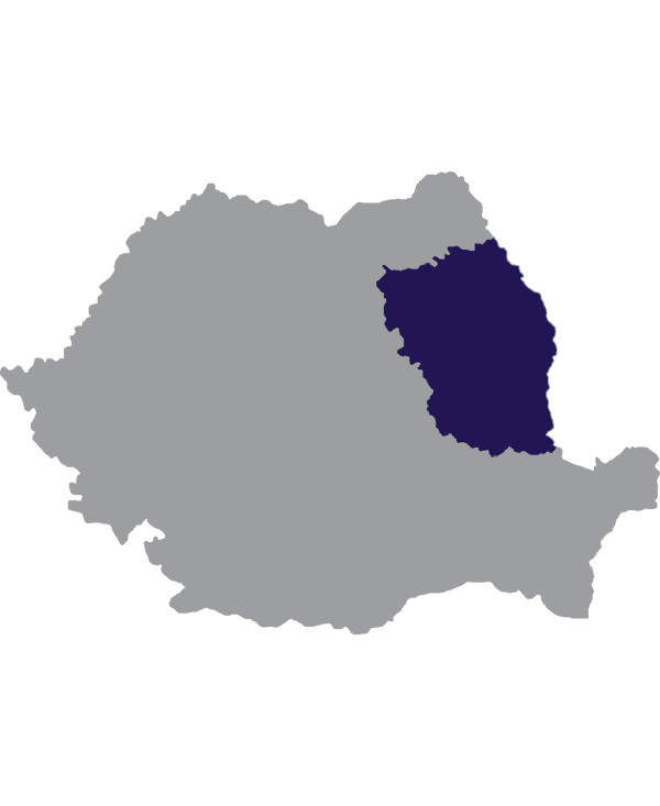 Landkaart Roemenië grijs met regio Moldavië donkerblauw op transparante achtergrond - 600 * 733 pixels